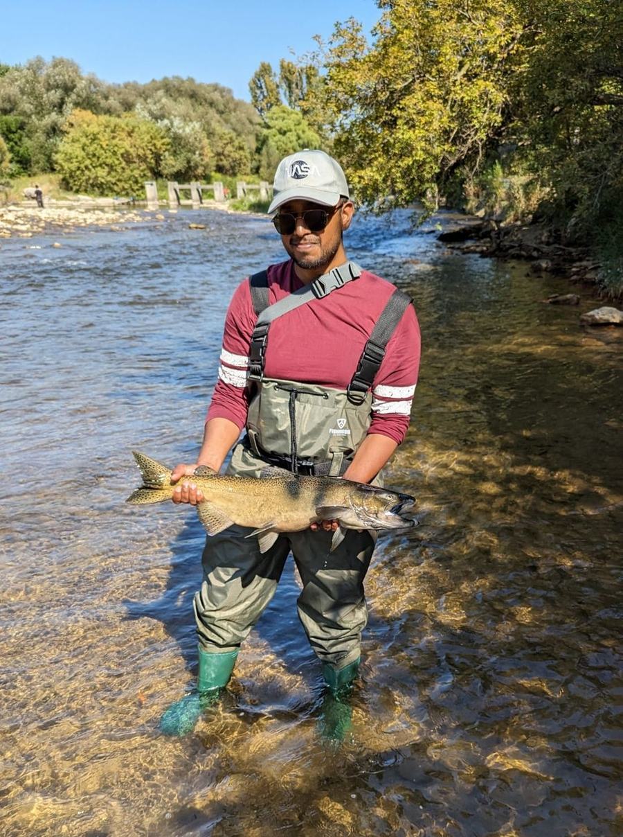 A chrome Chinook salmon caught on a float rig on the Credit River in early October